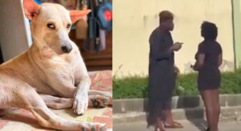 Do in Abuja sex bestiality Lady, Dog