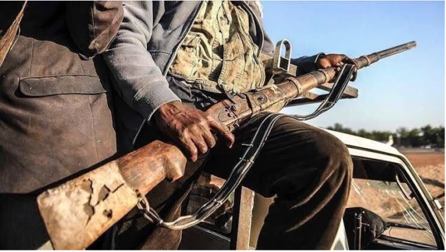 Mansur Muhammed: Kidnappers demand N20m ransom for Zamfara Medical Doctor